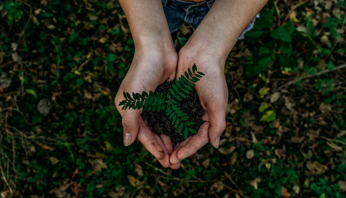 Sustainable Packaging Solutions for Modern Corporate Gifts