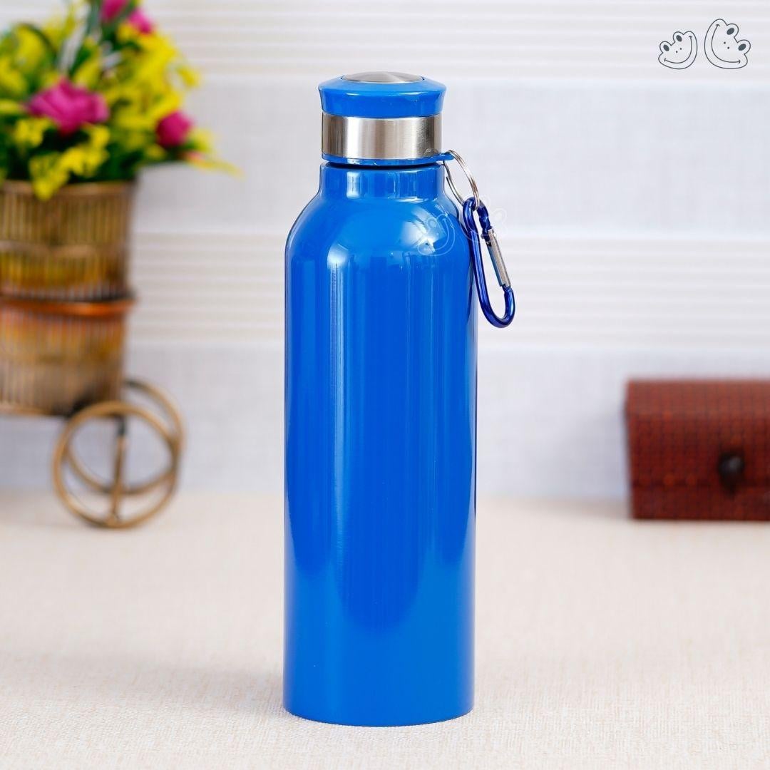 GBI-4026 Stainless Steel Bottle with Carabiner - Corporate gift product view